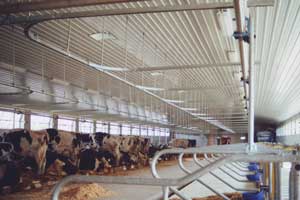 Tie Stall Barn